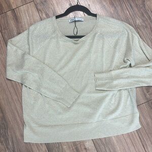 NWOT. Woman’s Zara cream colored sparkling thin knit crewneck sweater. Size M.